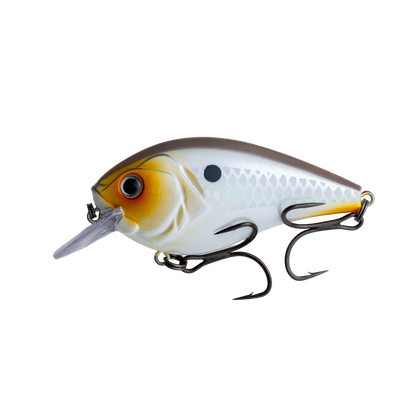 SB 2.5